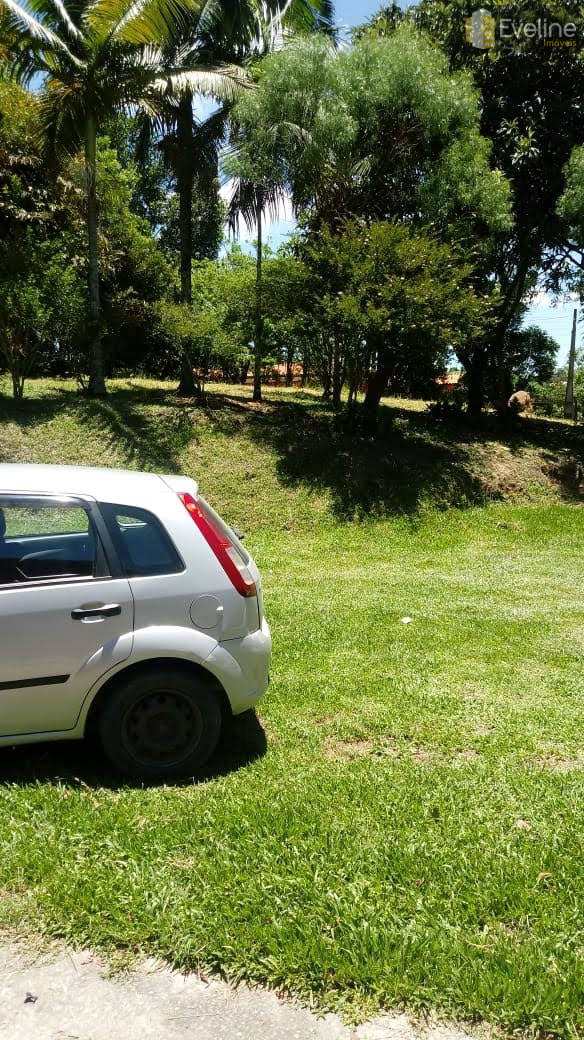 Fazenda à venda com 4 quartos, 1000m² - Foto 9