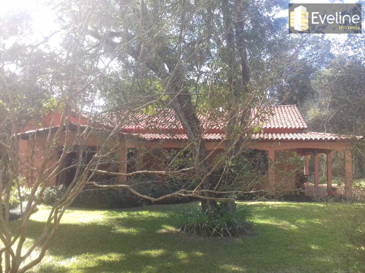 Fazenda à venda com 3 quartos, 5000m² - Foto 19