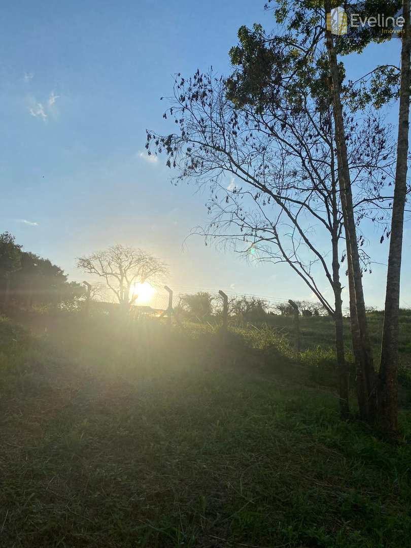 Terreno à venda, 4200m² - Foto 9