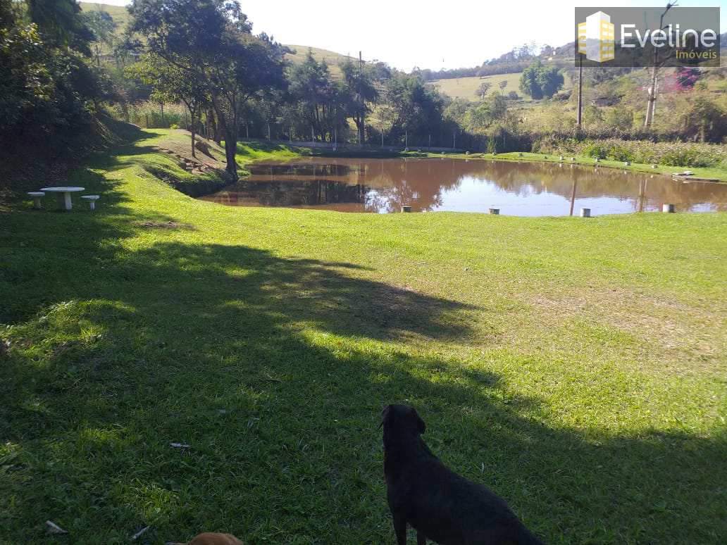 Fazenda à venda com 4 quartos, 27500m² - Foto 20