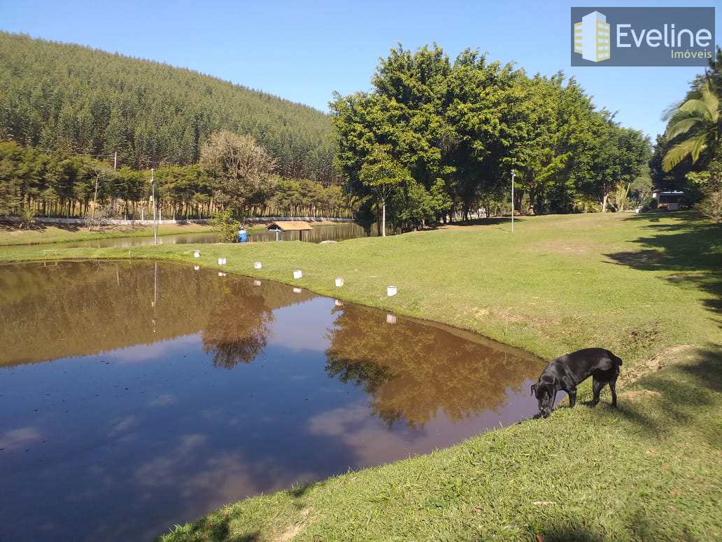 Fazenda à venda com 4 quartos, 27500m² - Foto 14