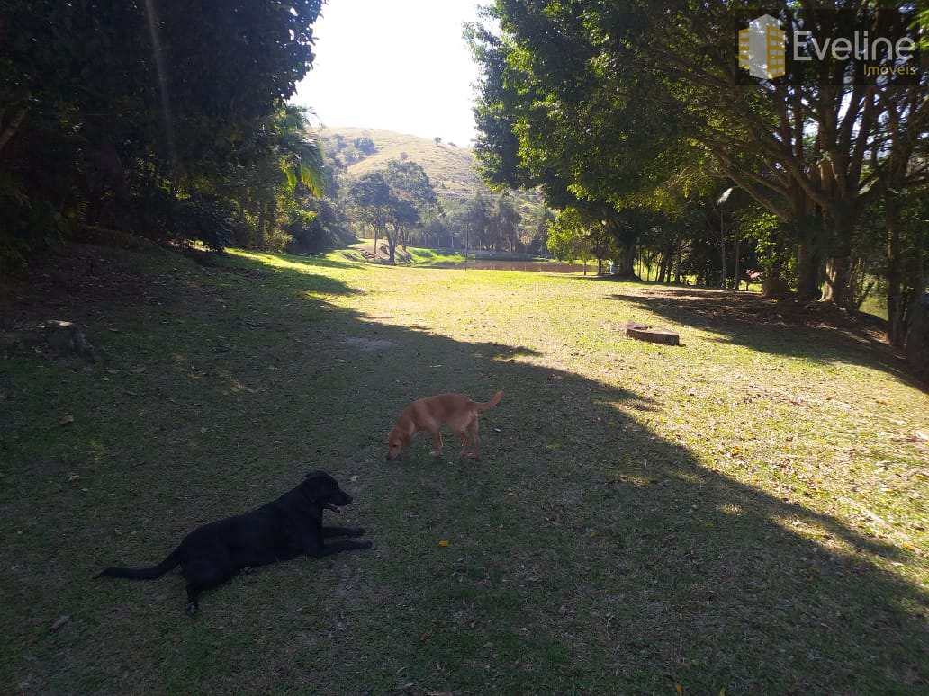 Fazenda à venda com 4 quartos, 27500m² - Foto 19