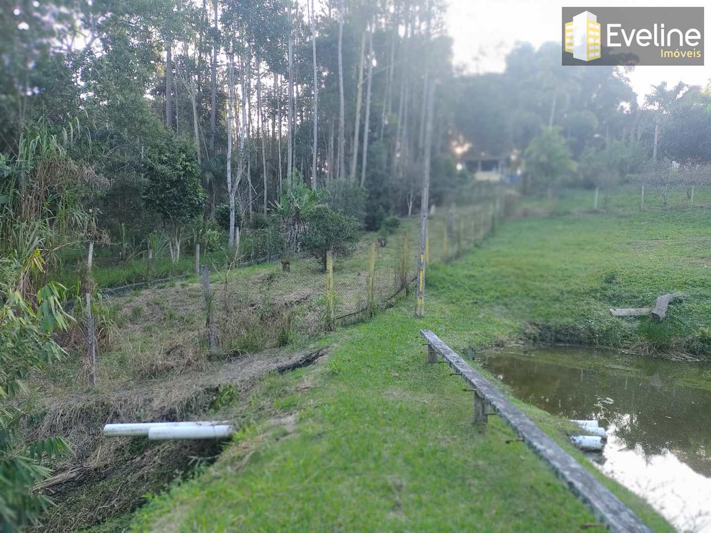 Fazenda à venda com 5 quartos, 10000m² - Foto 21