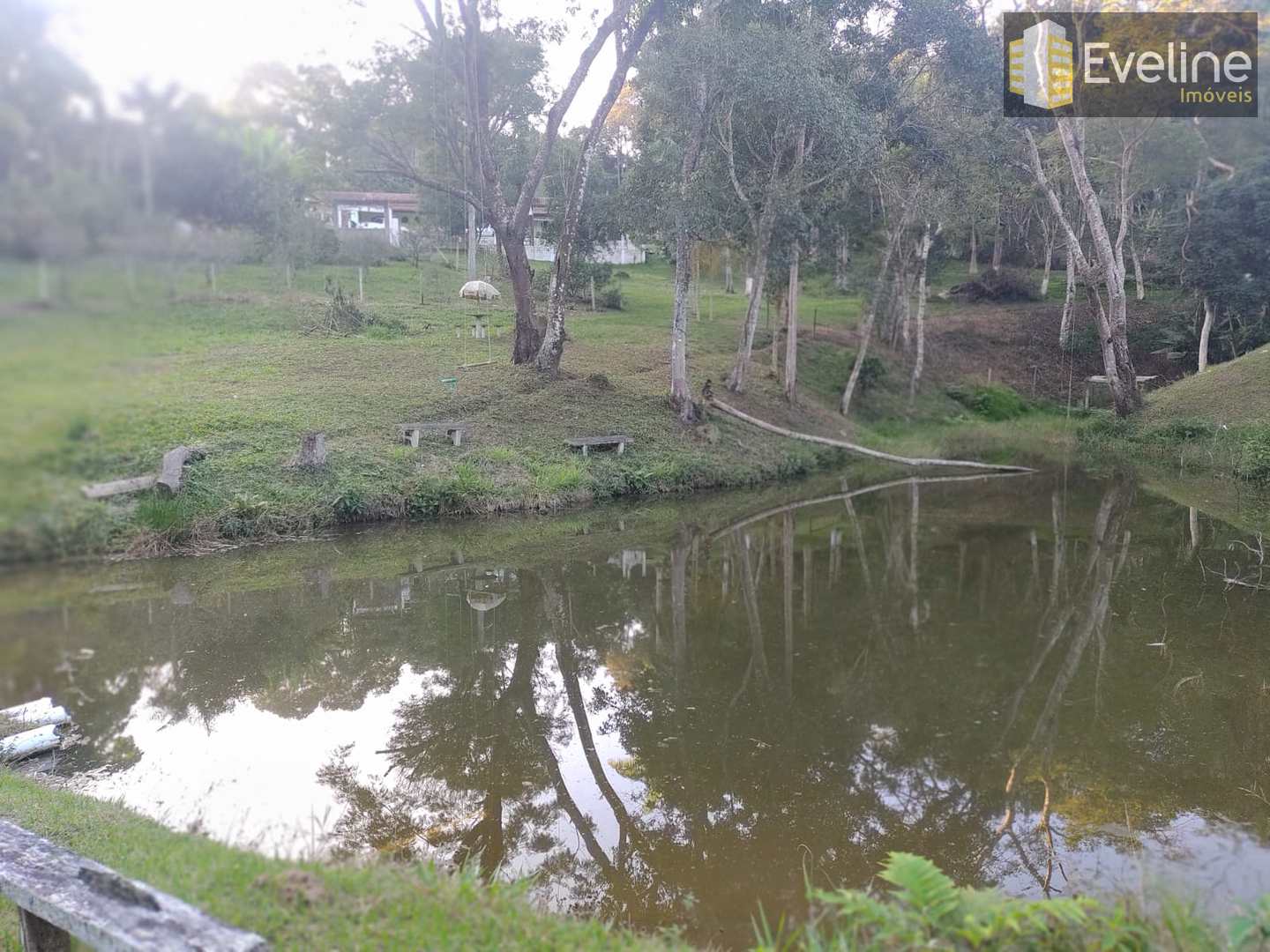 Fazenda à venda com 5 quartos, 10000m² - Foto 22