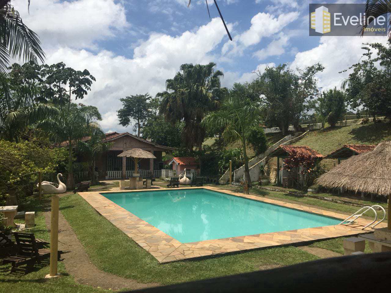 Fazenda à venda com 3 quartos, 600m² - Foto 8