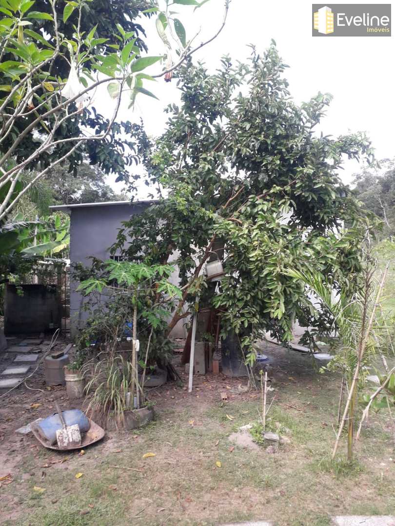 Fazenda à venda com 3 quartos, 270m² - Foto 15