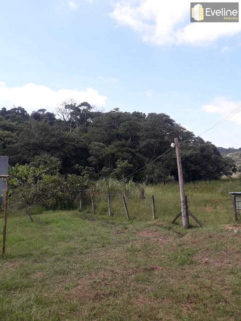 Fazenda à venda com 3 quartos, 270m² - Foto 14