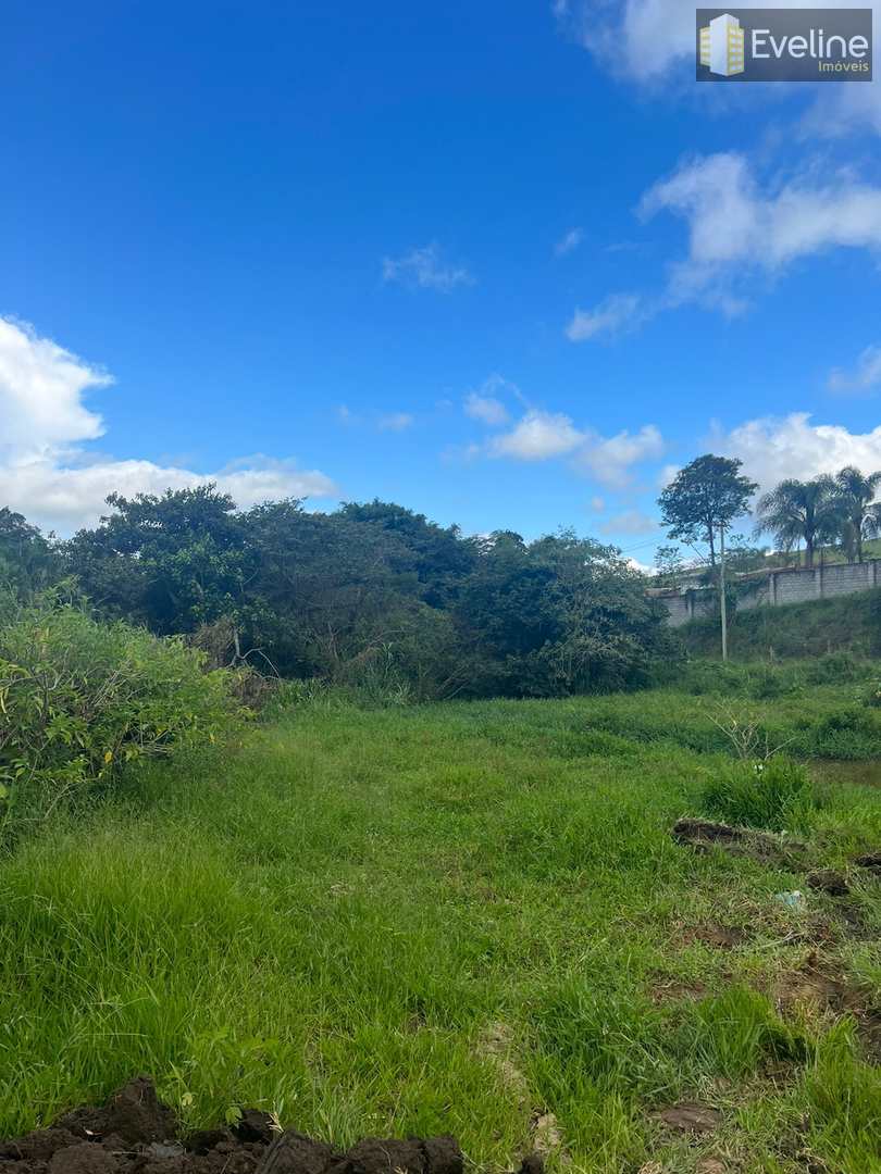 Fazenda à venda com 3 quartos, 180m² - Foto 9