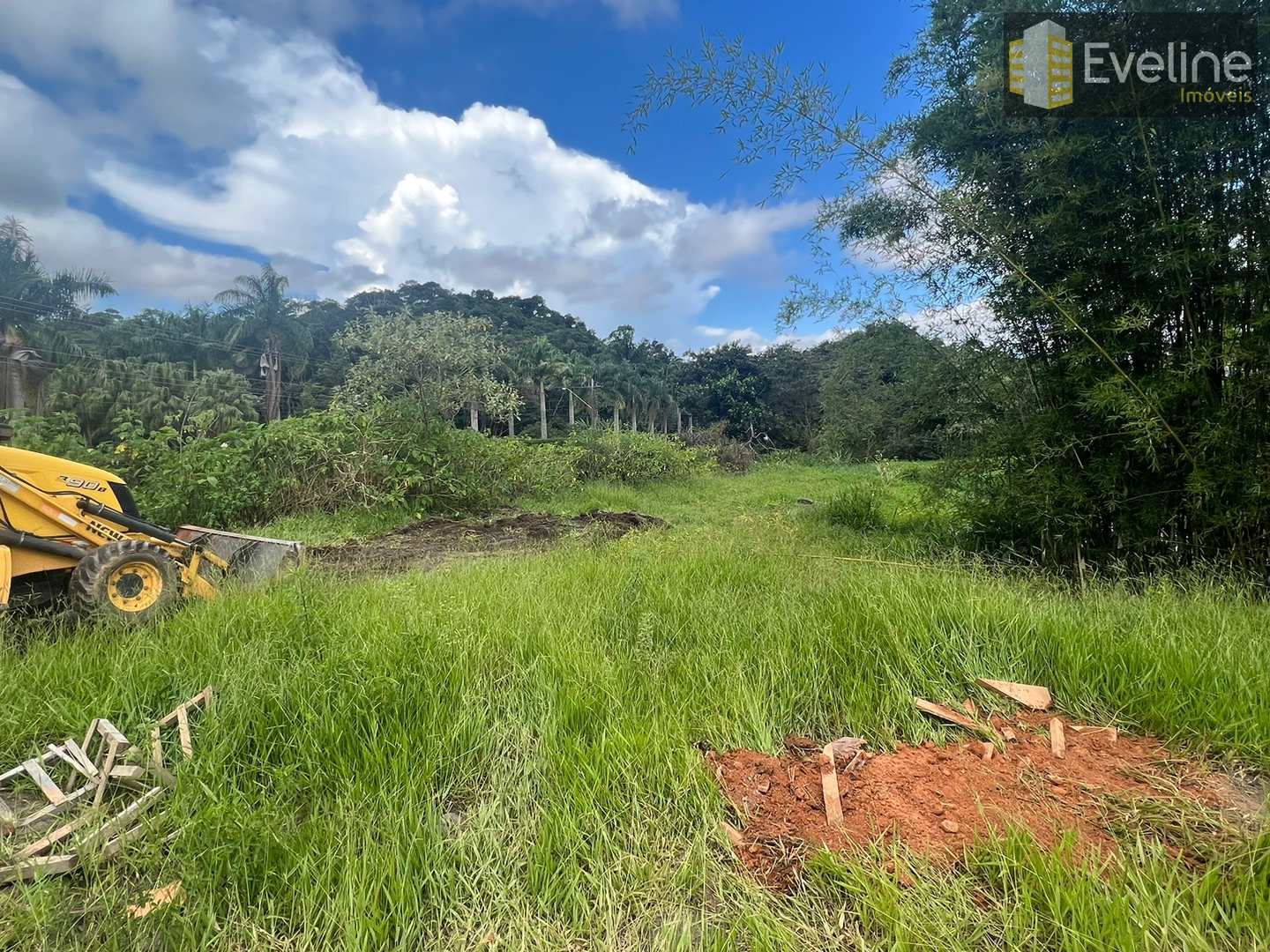 Fazenda à venda com 3 quartos, 180m² - Foto 8