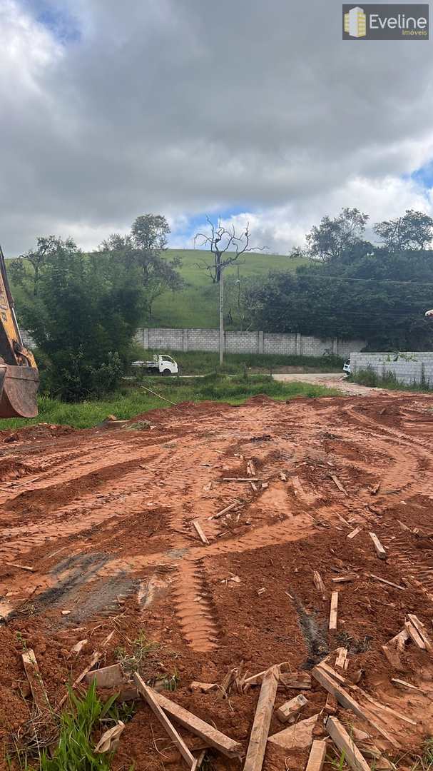 Fazenda à venda com 3 quartos, 180m² - Foto 6