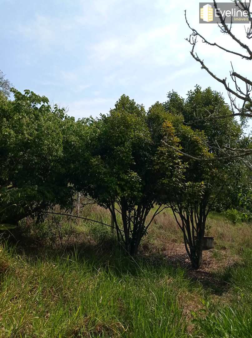 Fazenda à venda com 6 quartos, 21000m² - Foto 42