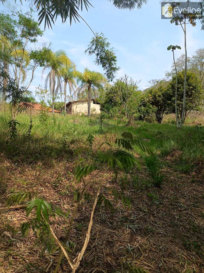 Fazenda à venda com 6 quartos, 21000m² - Foto 40