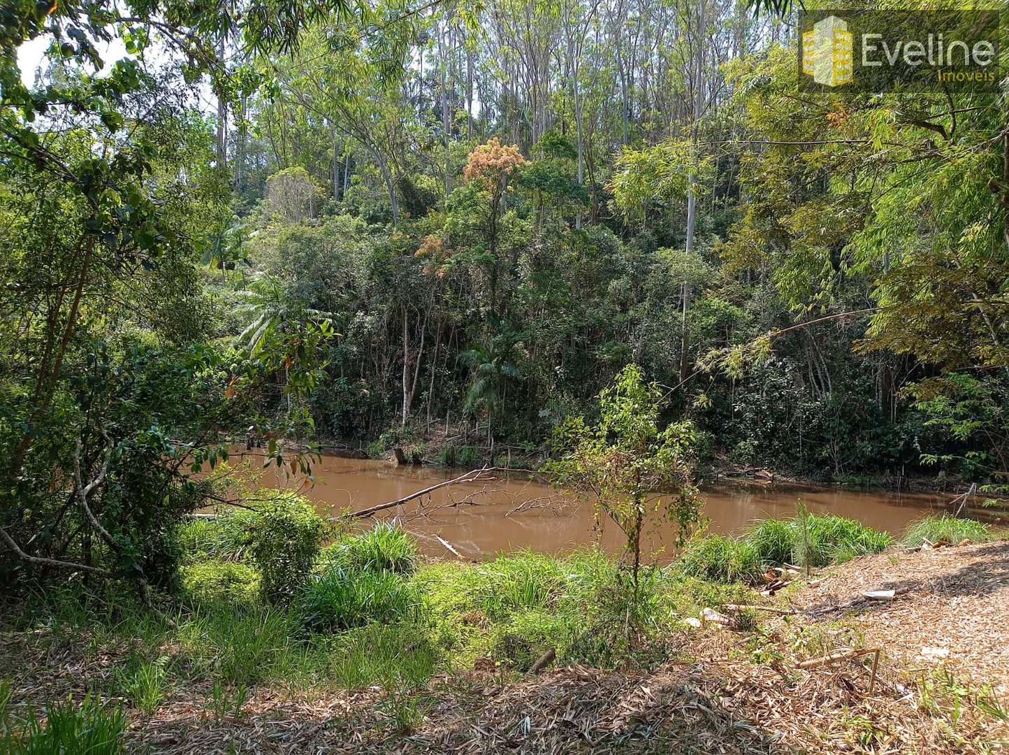 Fazenda à venda com 6 quartos, 21000m² - Foto 46