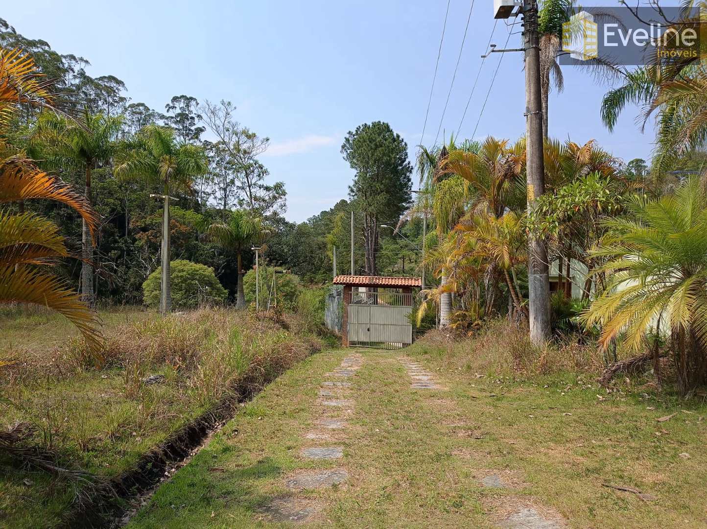 Fazenda à venda com 6 quartos, 21000m² - Foto 24