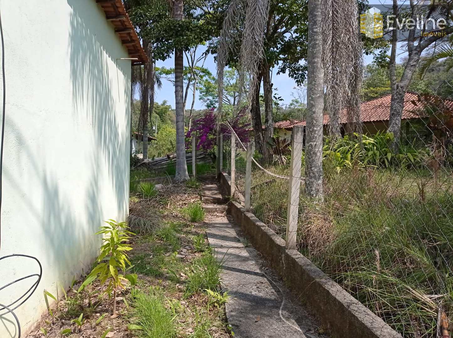 Fazenda à venda com 6 quartos, 21000m² - Foto 29