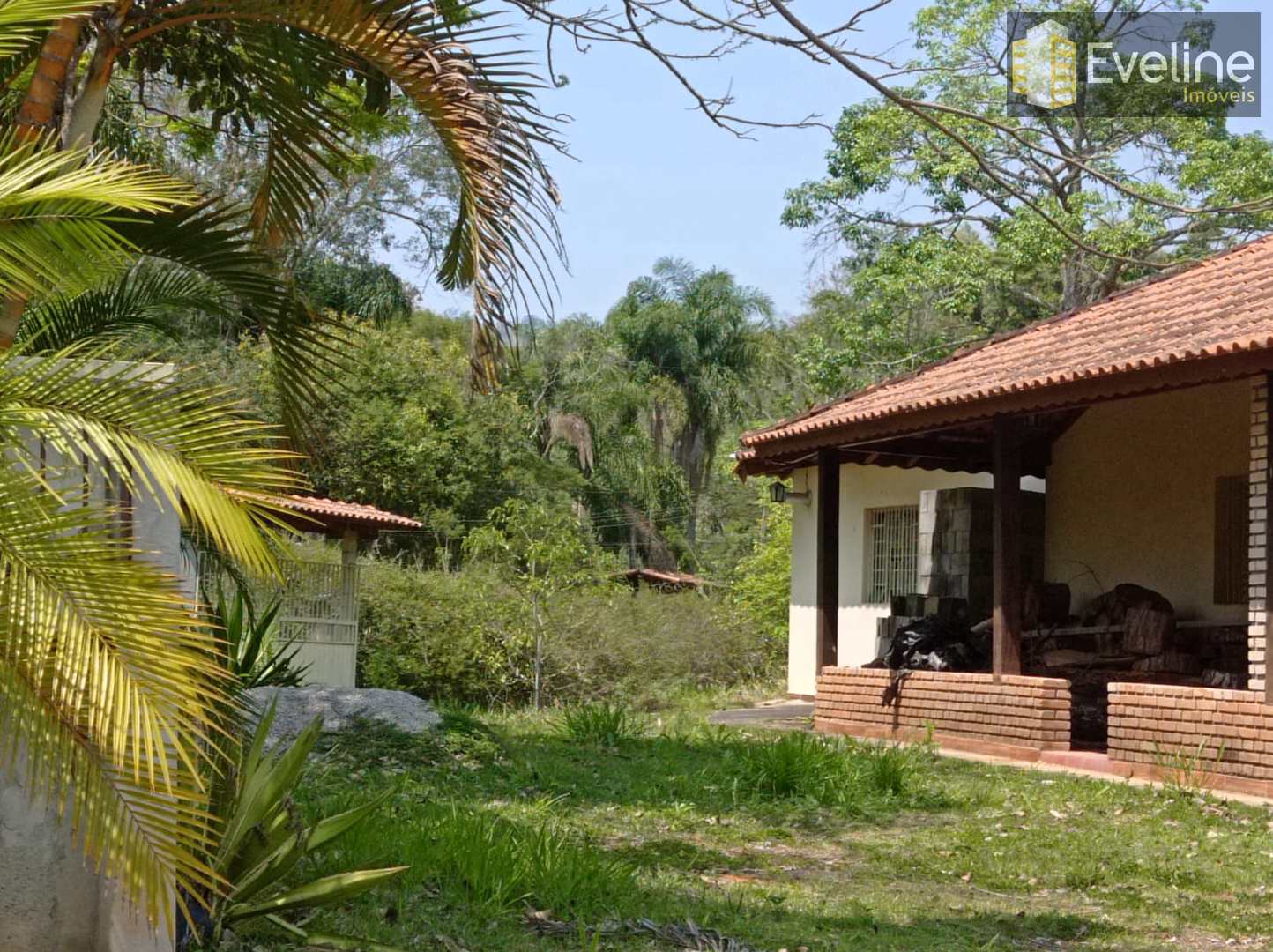 Fazenda à venda com 6 quartos, 21000m² - Foto 25