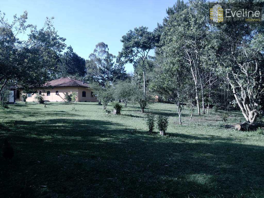 Fazenda à venda com 4 quartos, 31500m² - Foto 22