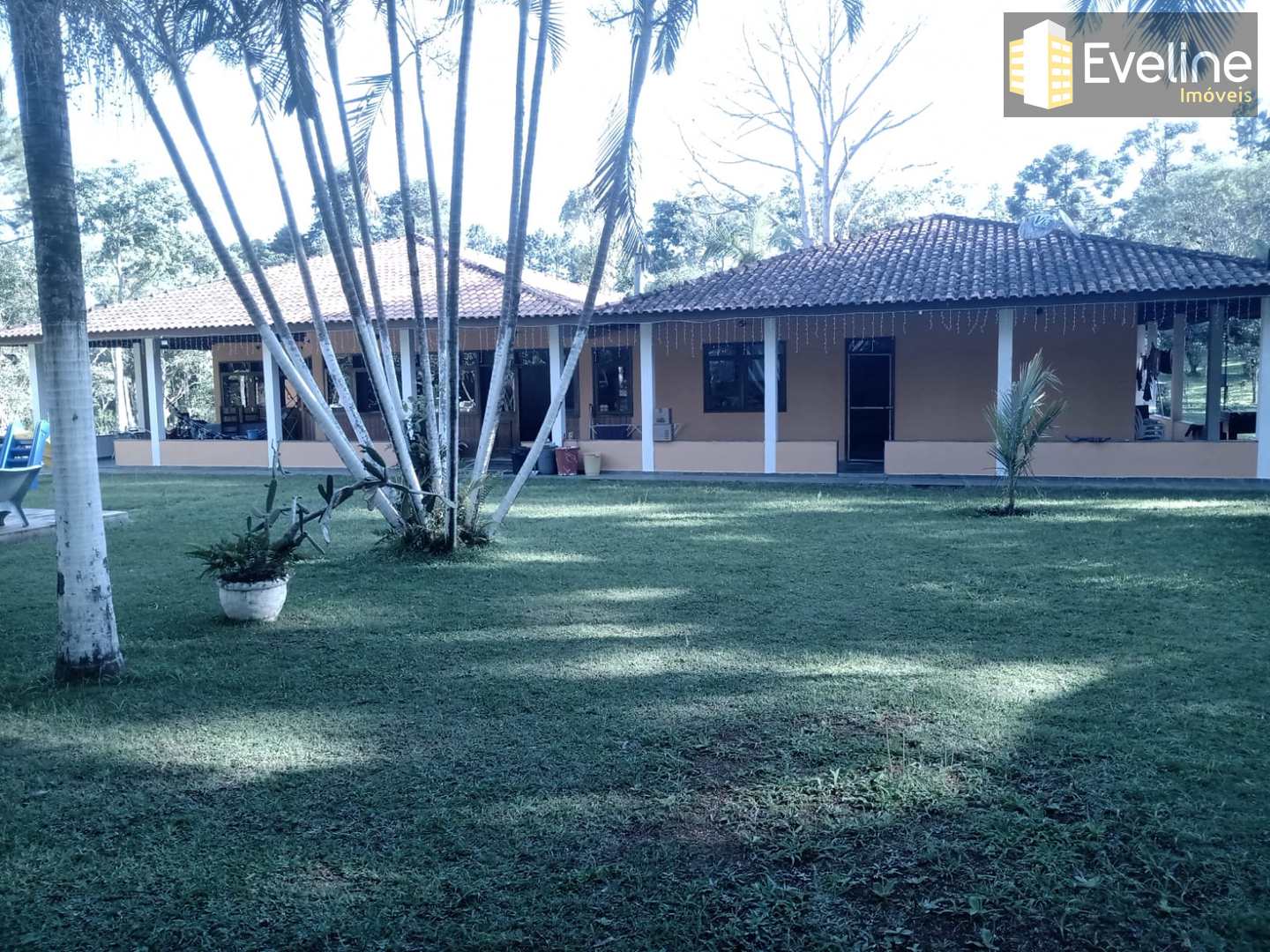 Fazenda à venda com 4 quartos, 31500m² - Foto 5