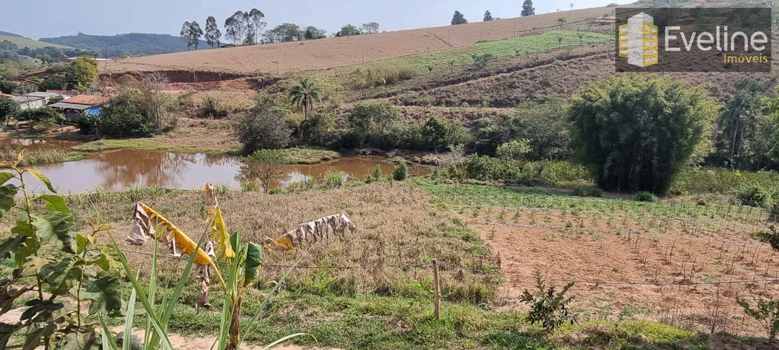 Fazenda à venda com 3 quartos, 22900m² - Foto 18