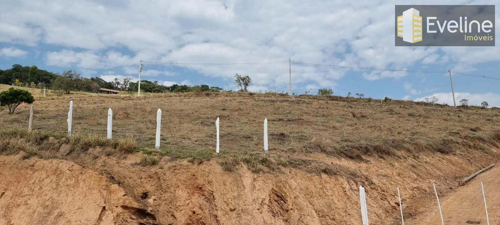 Fazenda à venda com 3 quartos, 22900m² - Foto 16