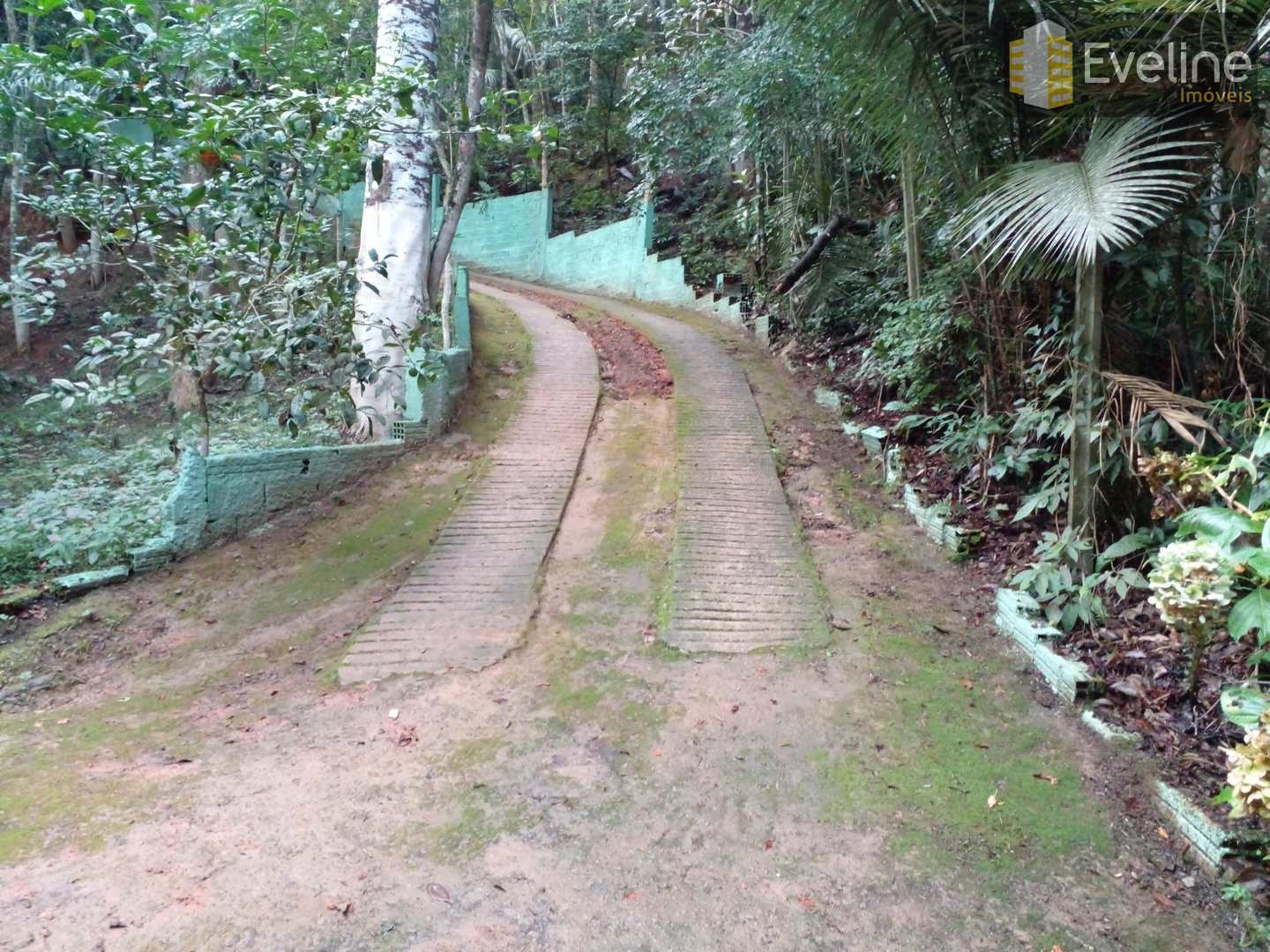 Fazenda à venda com 2 quartos, 3030m² - Foto 11