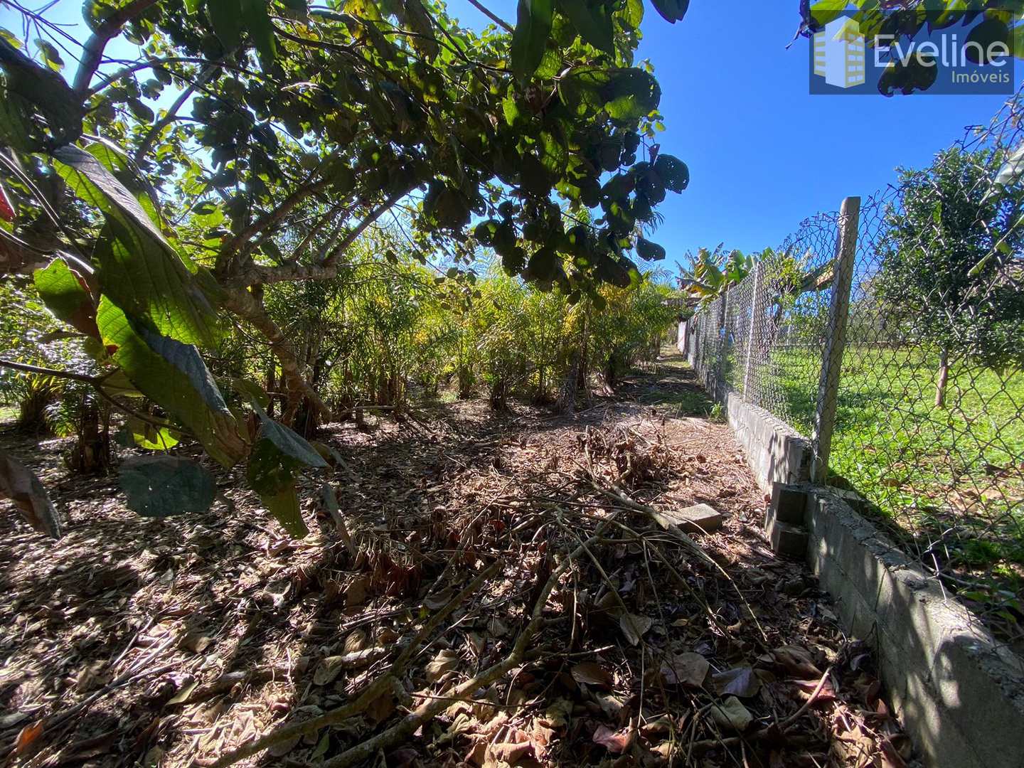 Terreno à venda, 1533m² - Foto 11