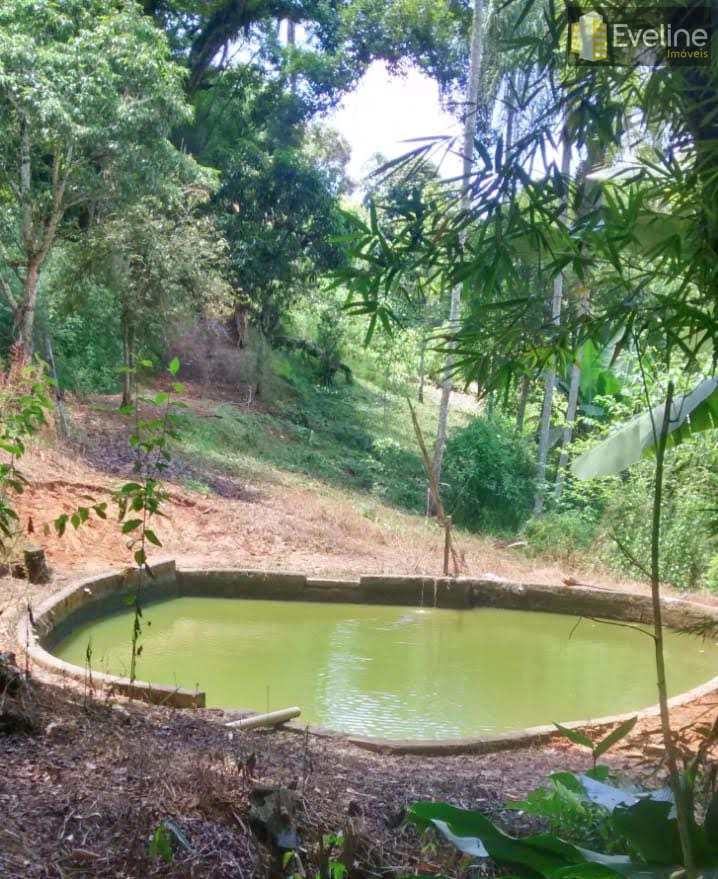 Fazenda à venda com 6 quartos - Foto 8