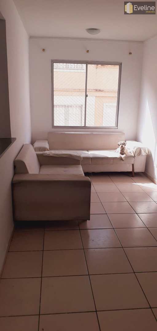 Apartamento à venda e aluguel com 3 quartos, 150m² - Foto 1