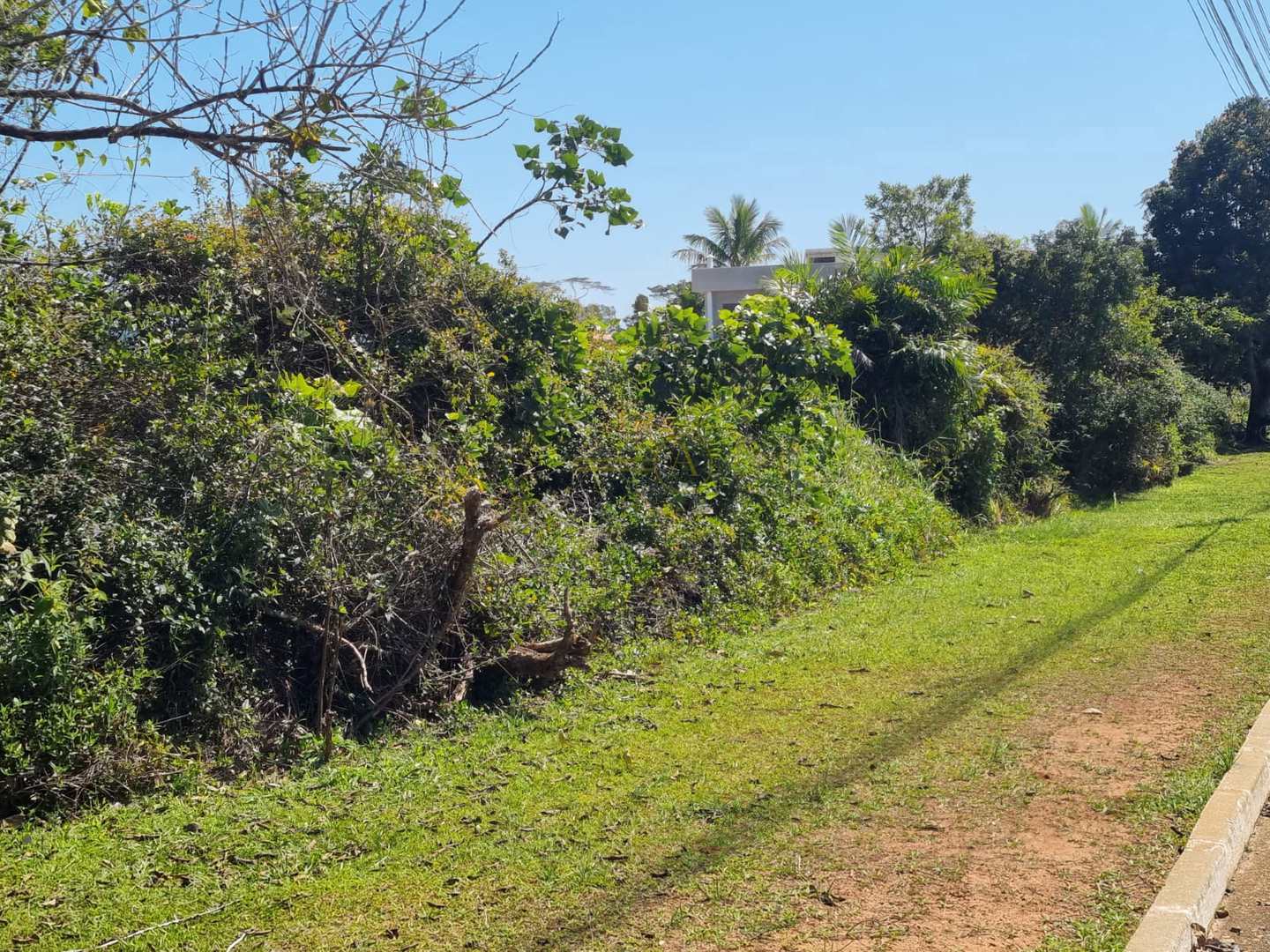 Terreno à venda, 1070m² - Foto 4