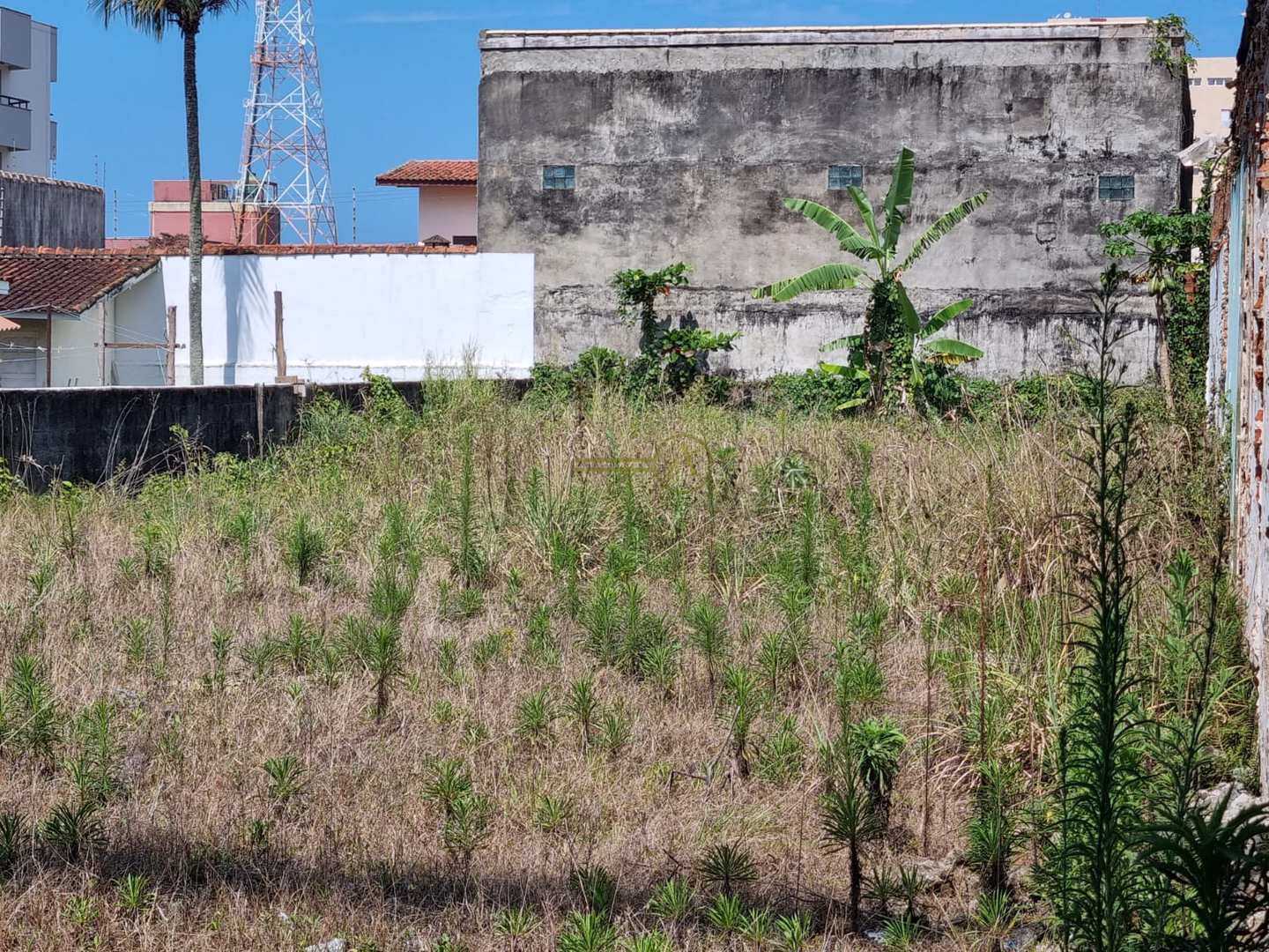 Terreno à venda, 1800m² - Foto 3