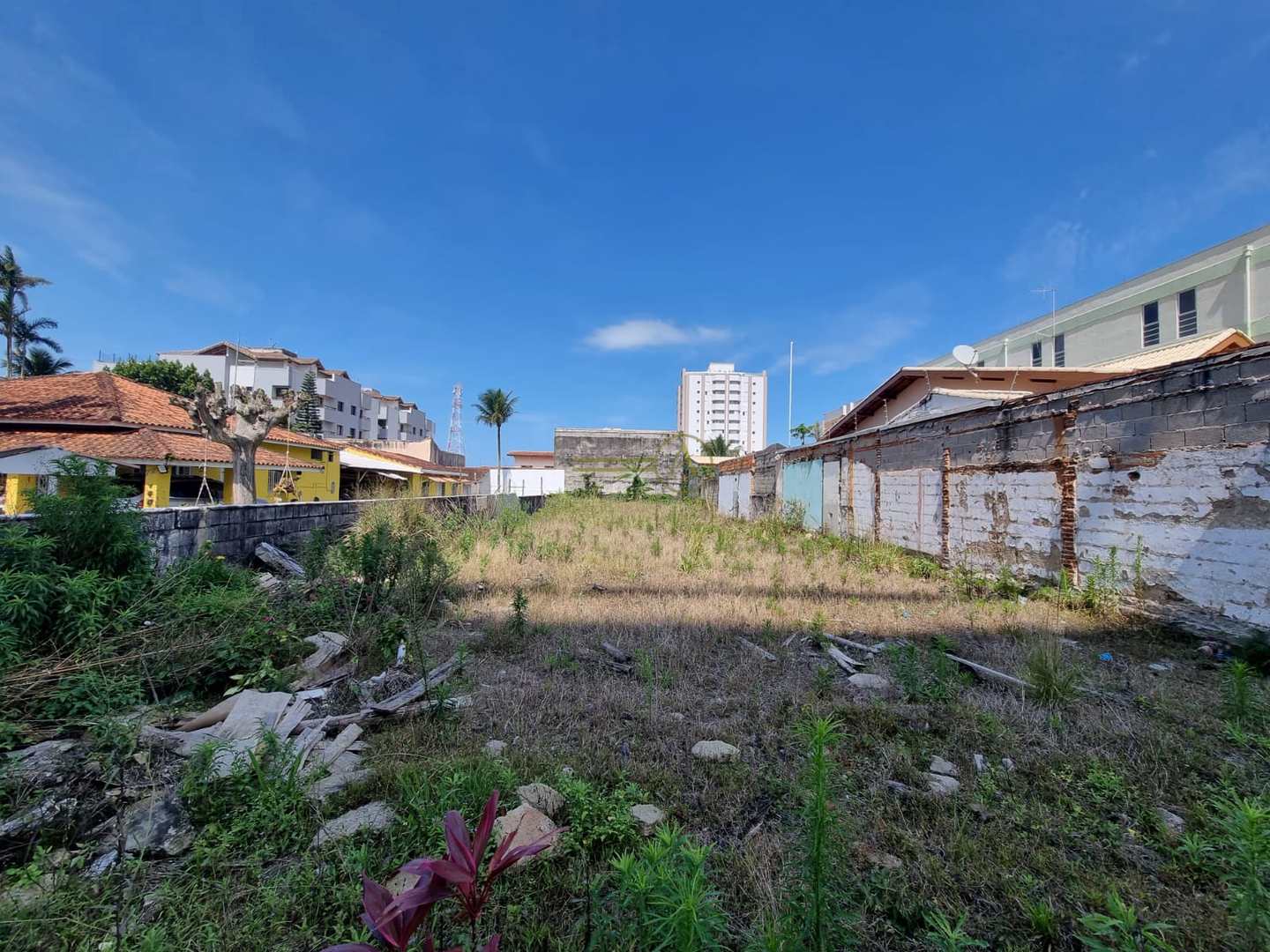 Terreno à venda, 1800m² - Foto 2