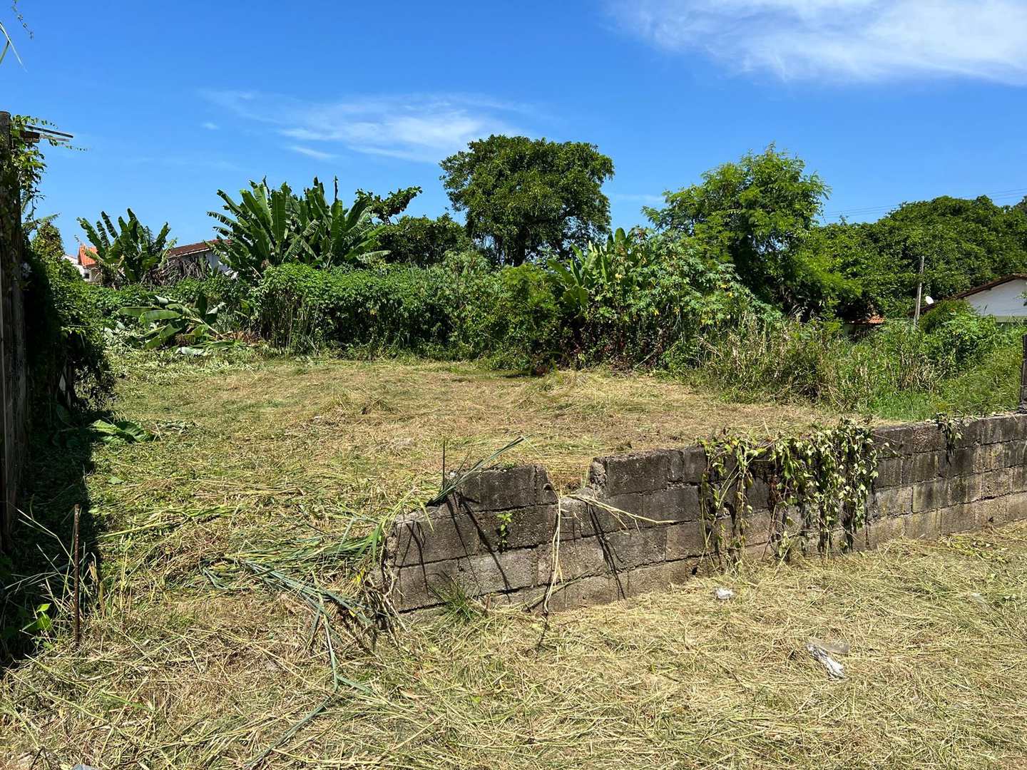 Terreno à venda, 360m² - Foto 6