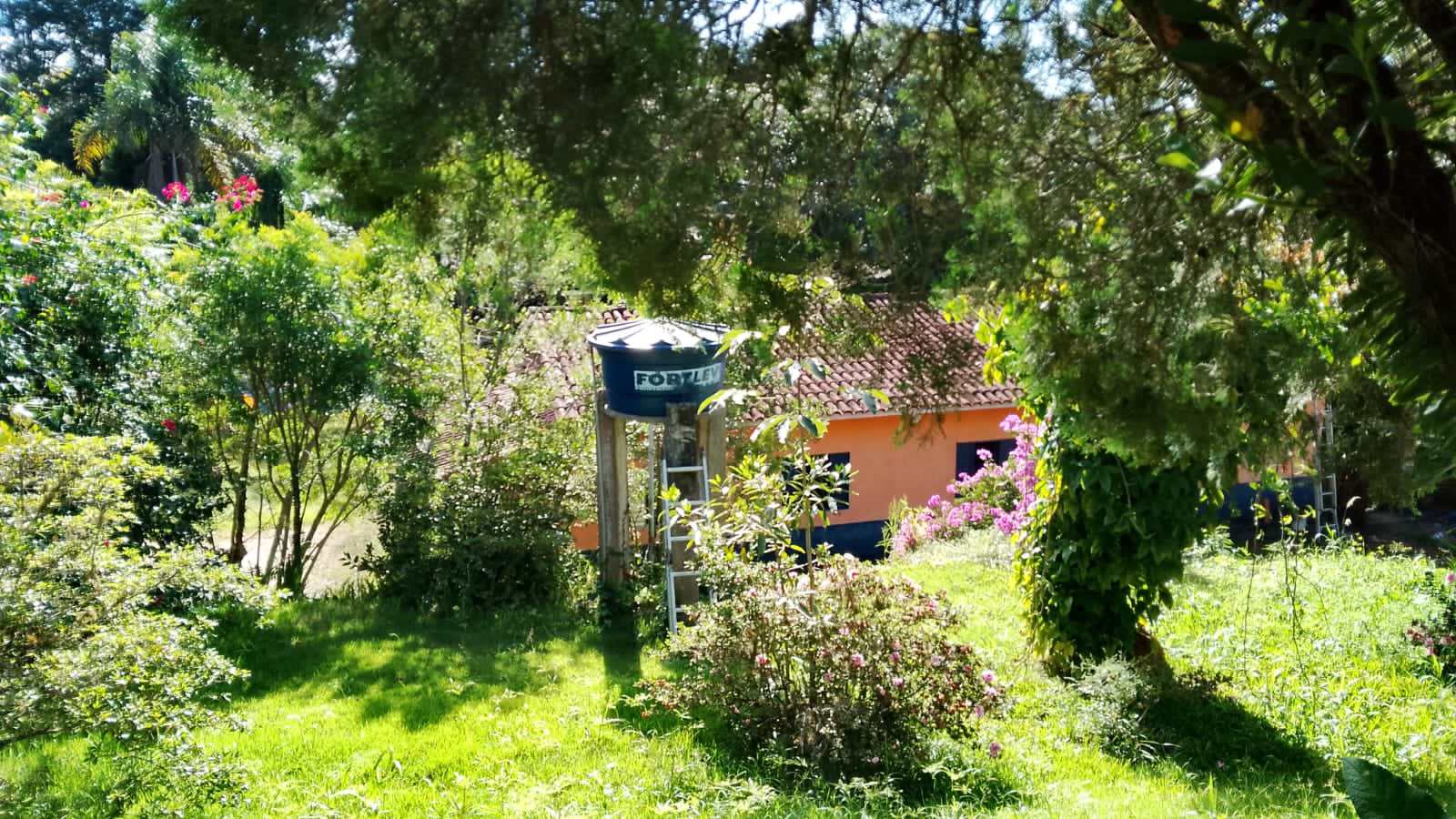 Chácara à venda e aluguel com 4 quartos, 5300m² - Foto 6