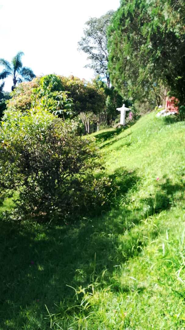 Chácara à venda e aluguel com 4 quartos, 5300m² - Foto 4