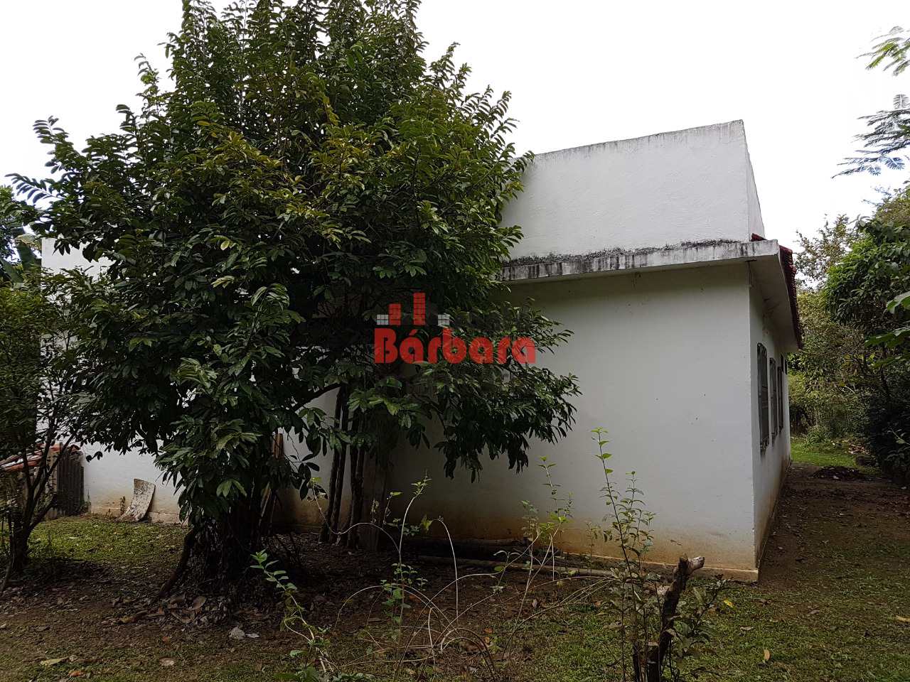 Fazenda à venda com 3 quartos, 5000m² - Foto 14