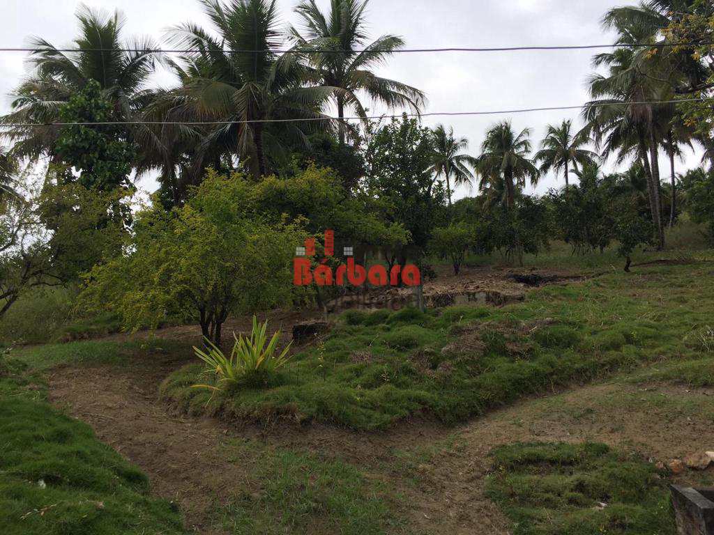 Fazenda à venda com 4 quartos, 250m² - Foto 36