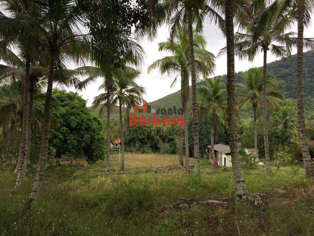 Fazenda à venda com 4 quartos, 250m² - Foto 51