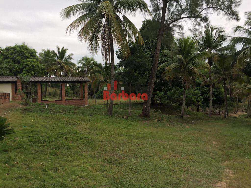 Fazenda à venda com 4 quartos, 250m² - Foto 53