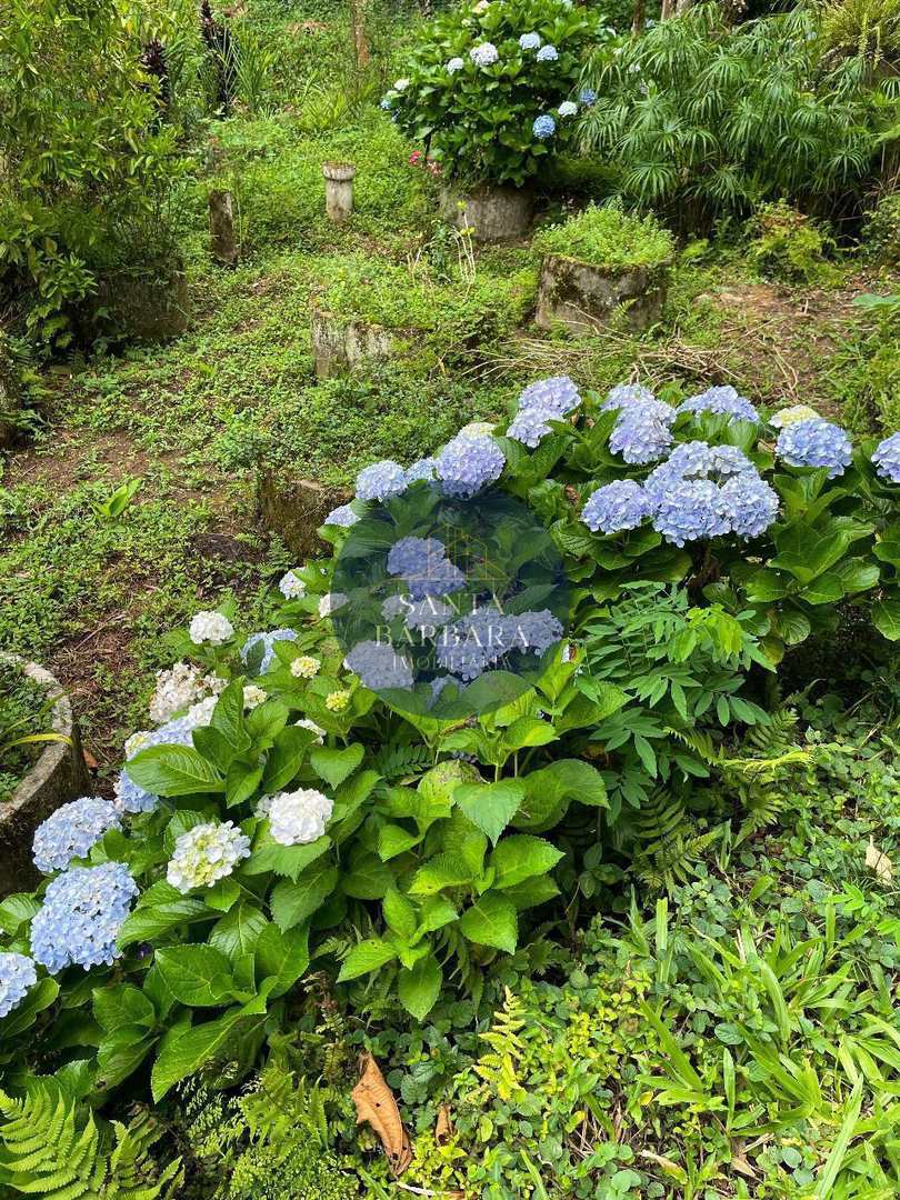 Sítio, 6 quartos, 12 hectares - Foto 5