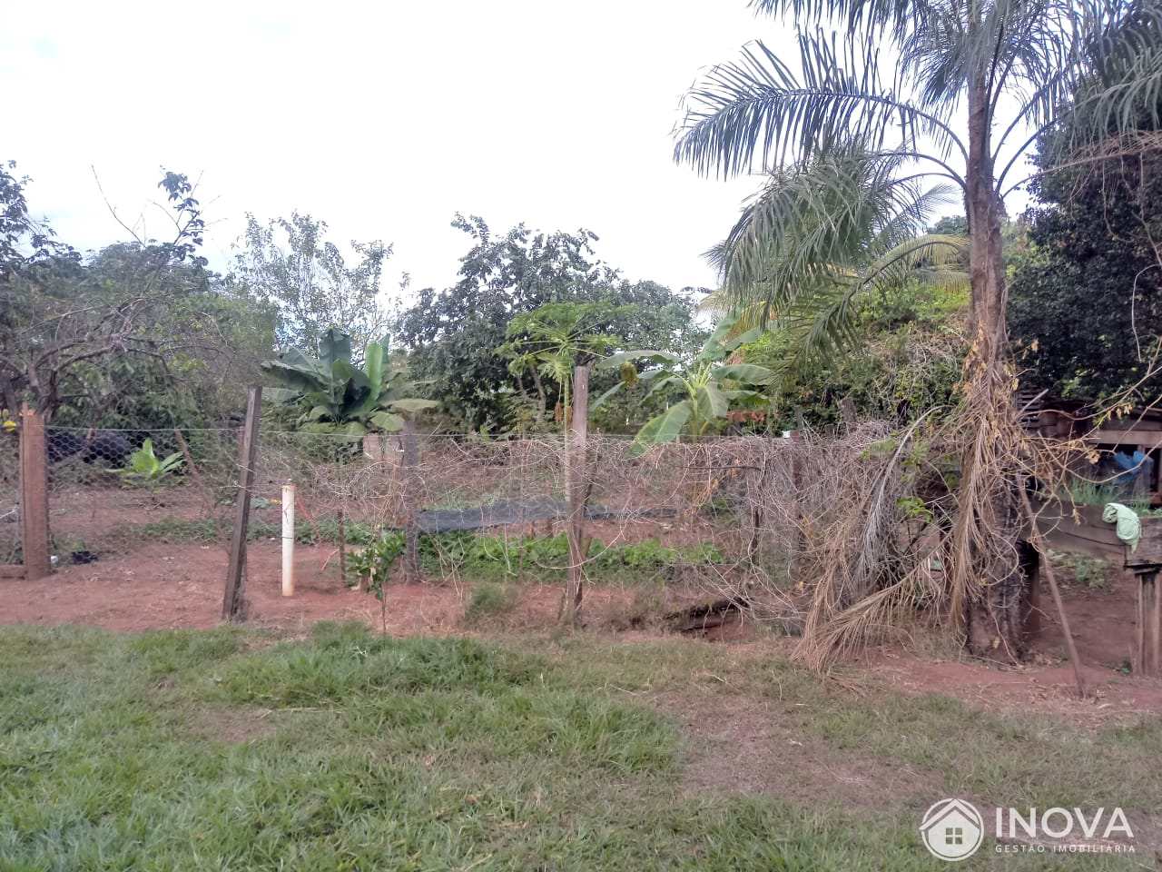 Fazenda à venda com 5 quartos, 5000m² - Foto 12