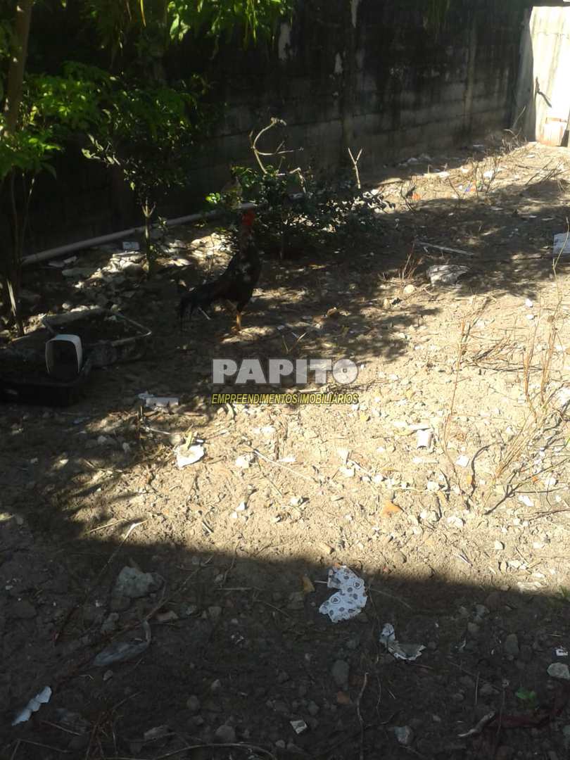 Terreno à venda, 126m² - Foto 7