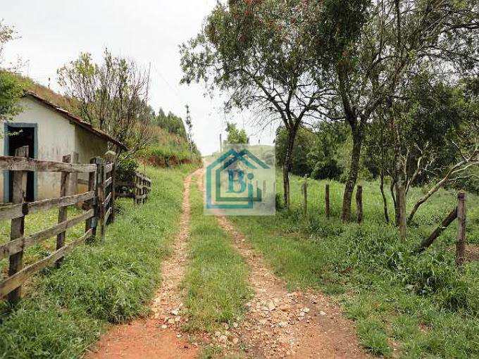 Fazenda à venda com 4 quartos, 1815000m² - Foto 3