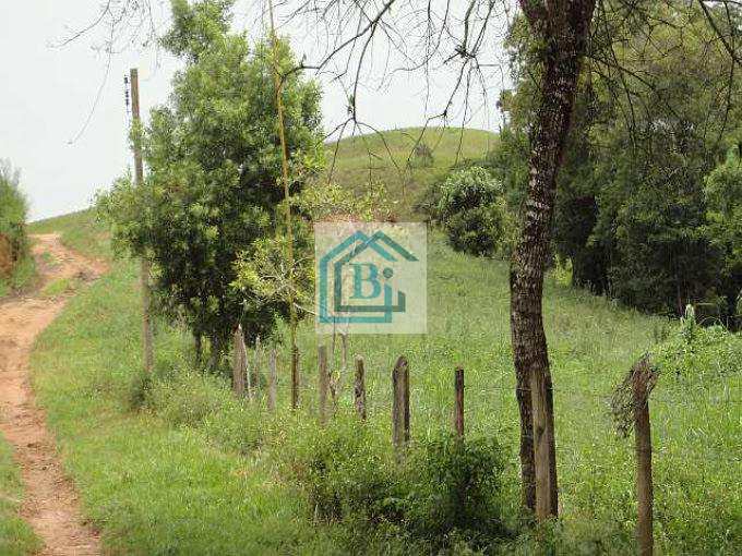 Fazenda à venda com 4 quartos, 1815000m² - Foto 12