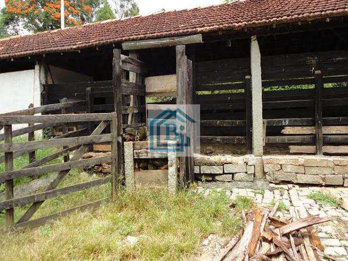 Fazenda à venda com 4 quartos, 1815000m² - Foto 7