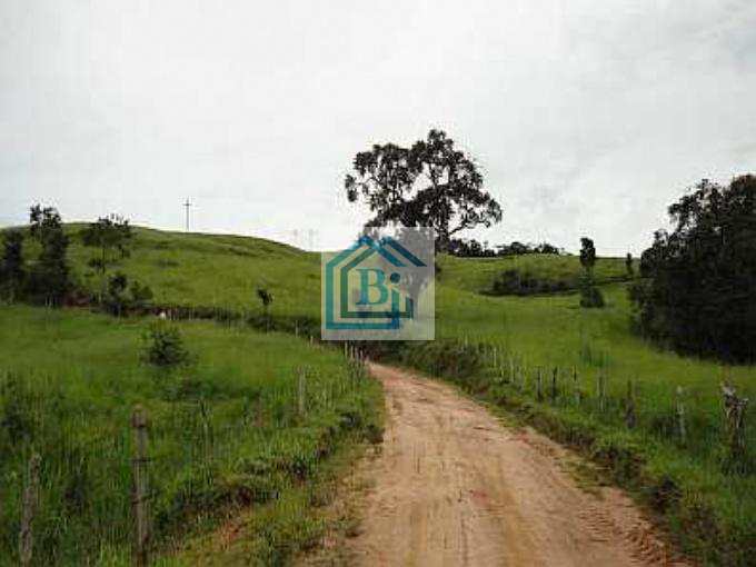 Fazenda à venda com 4 quartos, 1815000m² - Foto 14