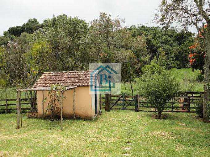 Fazenda à venda com 4 quartos, 1815000m² - Foto 11