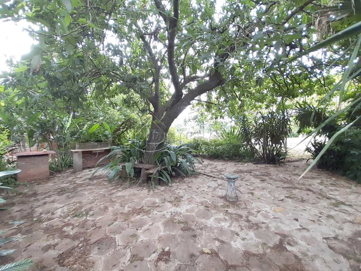 Fazenda à venda com 1 quarto, 1925m² - Foto 9