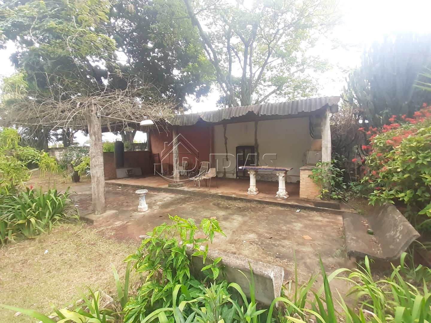 Fazenda à venda com 1 quarto, 1925m² - Foto 3