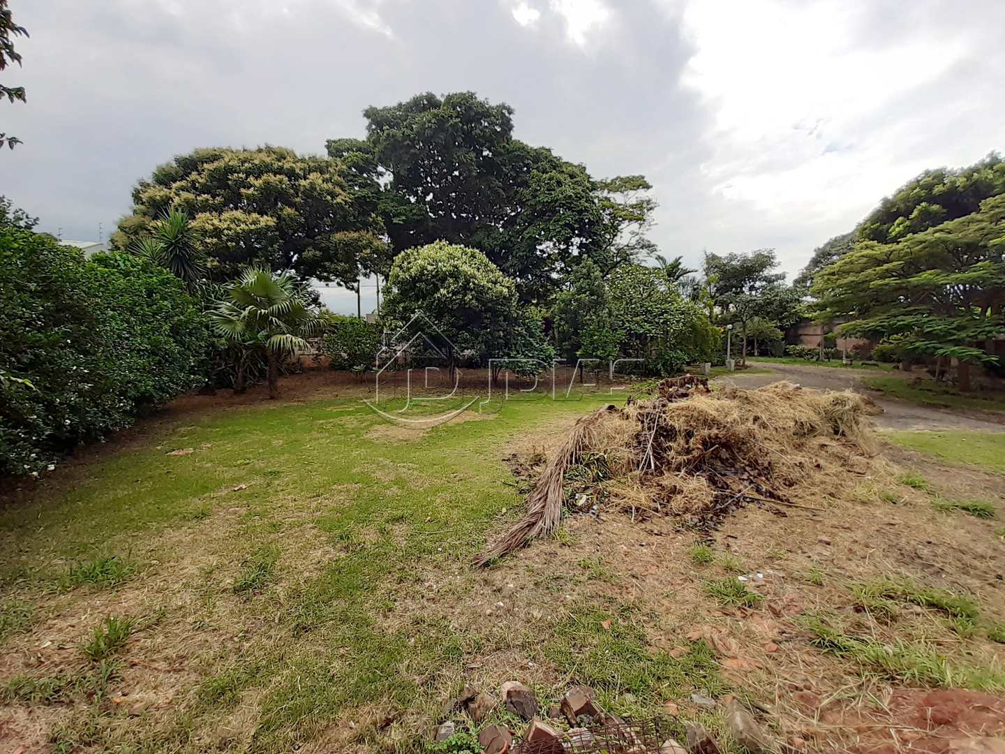 Fazenda à venda com 1 quarto, 1925m² - Foto 5