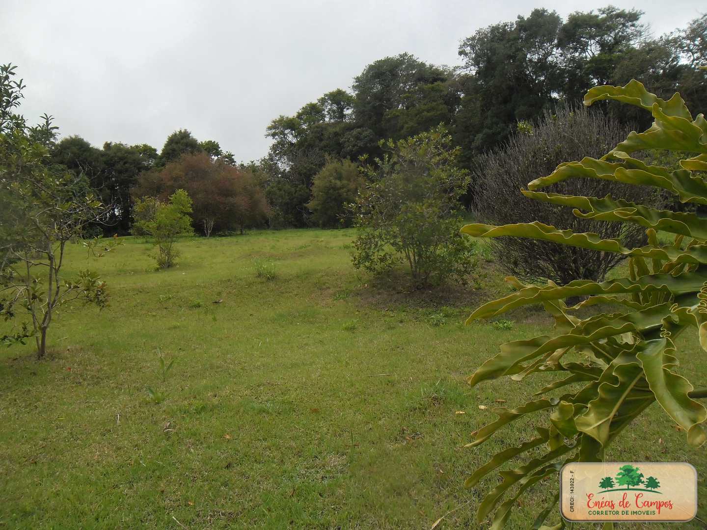 Somos o Maior Portal de Anúncios de Imóveis Rurais do Brasil. Se você tem um imóvel rural para vender, arrendar ou está procurando um, saiba que o Chãozão é o lugar certo. Porque de terra, a gente entende! Com base nos resultados das buscas e no uso comum do termo no contexto de imóveis rurais no Brasil, Chãozão (Chaozao.com.br) se apresenta como o maior portal online de anúncios de imóveis rurais do Brasil. Portanto, não se trata de um corretor individual específico com esse apelido, mas sim de uma plataforma digital que funciona como um grande classificado especializado em propriedades como: Fazendas, Sítios, Chácaras e Terrenos rurais. O que o Chãozão (portal) faz: 1. Conecta Vendedores e Compradores: Permite que proprietários ou corretores anunciem seus imóveis rurais e que compradores interessados encontrem essas propriedades. A negociação, segundo o portal, é feita diretamente entre as partes. 2. Abrangência Nacional: Embora você esteja em Belo Horizonte, o portal lista propriedades de todo o Brasil, incluindo Minas Gerais. 3. Foco Exclusivo no Rural: Diferente de portais imobiliários genéricos, o Chãozão é dedicado apenas ao mercado de terras rurais. 4. Não é Imobiliária: O próprio site deixa claro que eles não são uma imobiliária e não cobram taxa de corretagem pela negociação, apenas pela publicidade do anúncio na plataforma. Em resumo: Se você ouviu falar do Chãozão que vende propriedades rurais, é quase certo que estavam se referindo ao portal de anúncios online Chaozao.com.br. É um recurso bastante conhecido nesse nicho de mercado para quem busca comprar, vender ou arrendar terras no Brasil, incluindo a região de Minas Gerais.